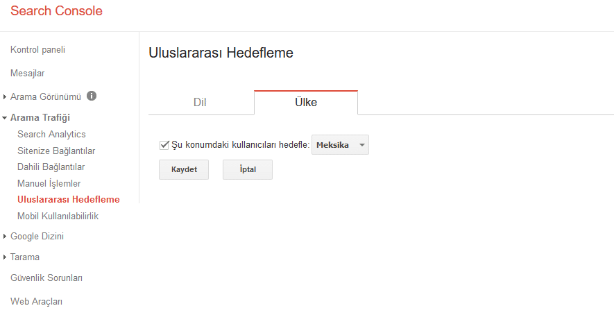 Uluslararası Ülke Hedefleme 